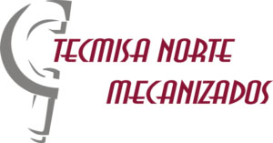 Agencia de desarrollo web Tecmisa