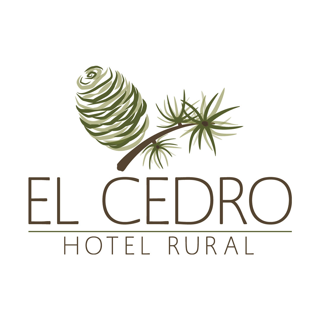 Agencia de desarrollo web el cedro