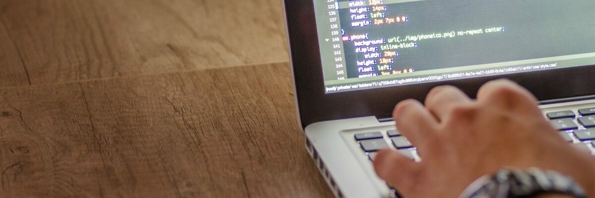 Tipos de programador web